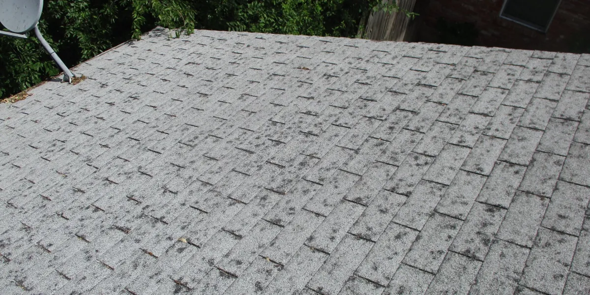 Hail impact marks documented across an asphalt shingle roof